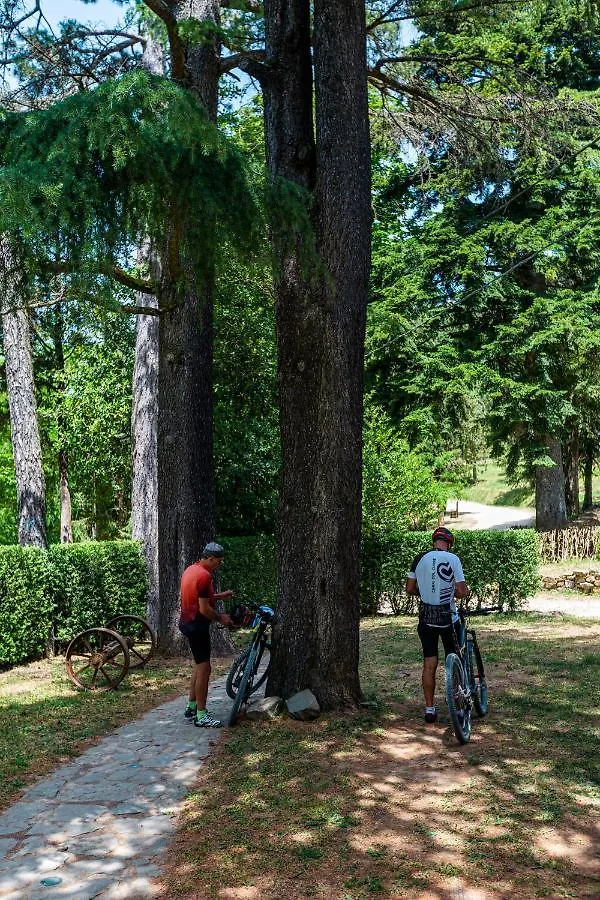 Hotel Albergo Villa San Michele Greve in Chianti